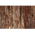 4” x 3/4" universal rustic acacia hardwood flooring 4” x 3/4" universal rustic acacia hardwood flooring